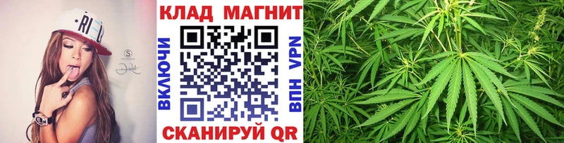 Купить наркоту Энгельс Галлюциногенные грибы  МАРИХУАНА  Alpha-PVP  Гашиш  МЕГА   Кокаин  МЕФ 