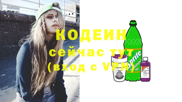 мдпв Богородицк
