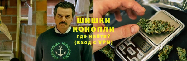 мдпв Богородицк