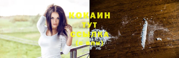 мдпв Богородицк