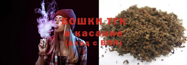 мдпв Богородицк